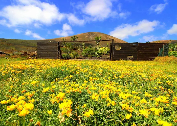 Roco 1 - Grosser Pool, Sauna, Wundervoller Meerblick, Pure Entspannung Ла-Асомада